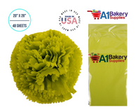 Citrus green Color Tissue Paper 20 Inch x 26 Inch - 48 Sheets